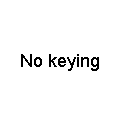 https://web.lemo.com/img/Illustrations/nopic/no_key.gif